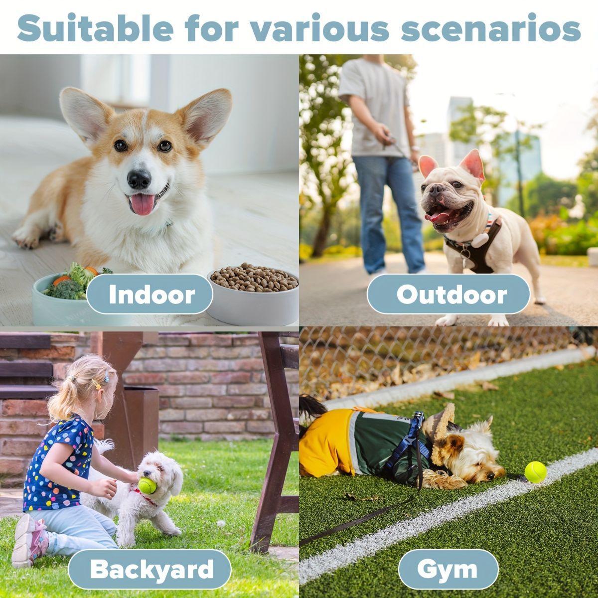 automatic dog ball launcher, dog ball thrower, rechargeable dog ball thrower, interactive dog toy, dog tennis ball launcher, fetch toy for dogs, indoor dog toy, outdoor dog toy, high energy dog toy, Australian dog toy - Blue - Size L