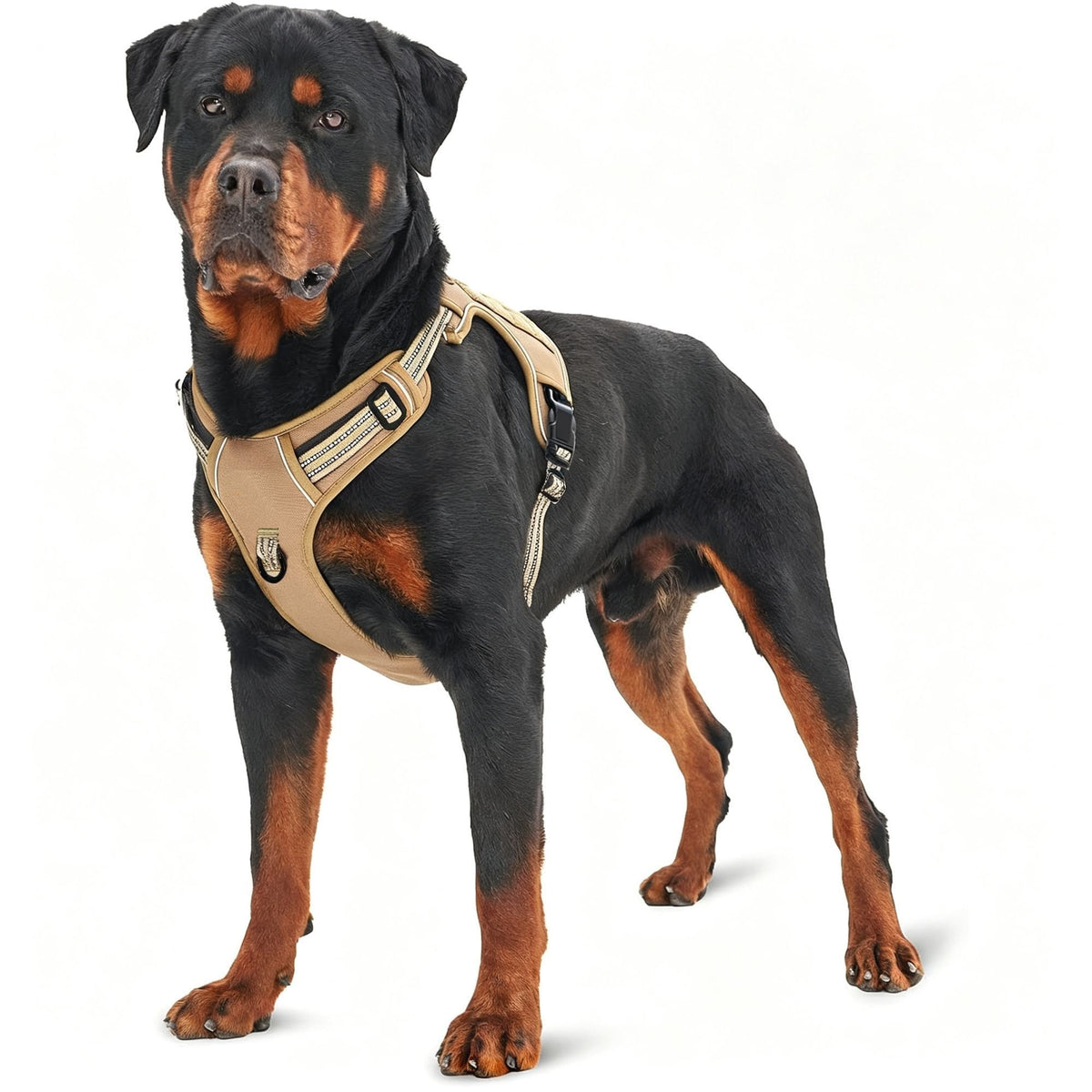 Adjustable Mesh Dog Vest Harness With Handle Safe Reflective Pet Walking Gear Great Christmas Present Black Size M
