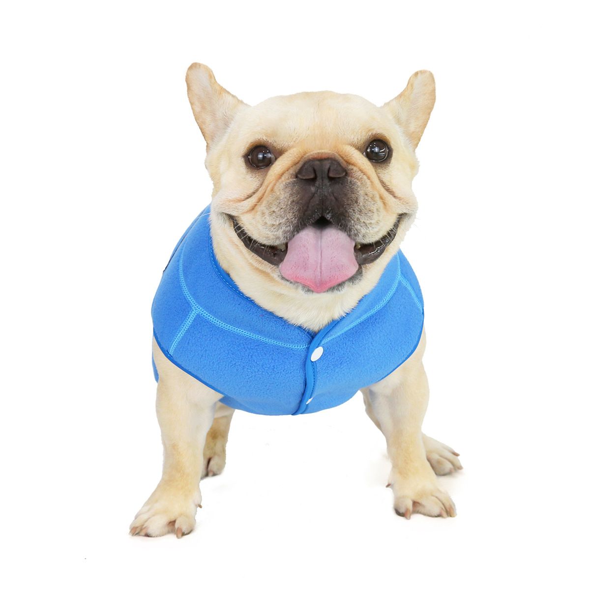 Dogbaby Bulldog Fleece Jacket Winter Polyester Blue S
