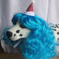 Pet Dog Cat Wool Wig Blue Wave Christmas