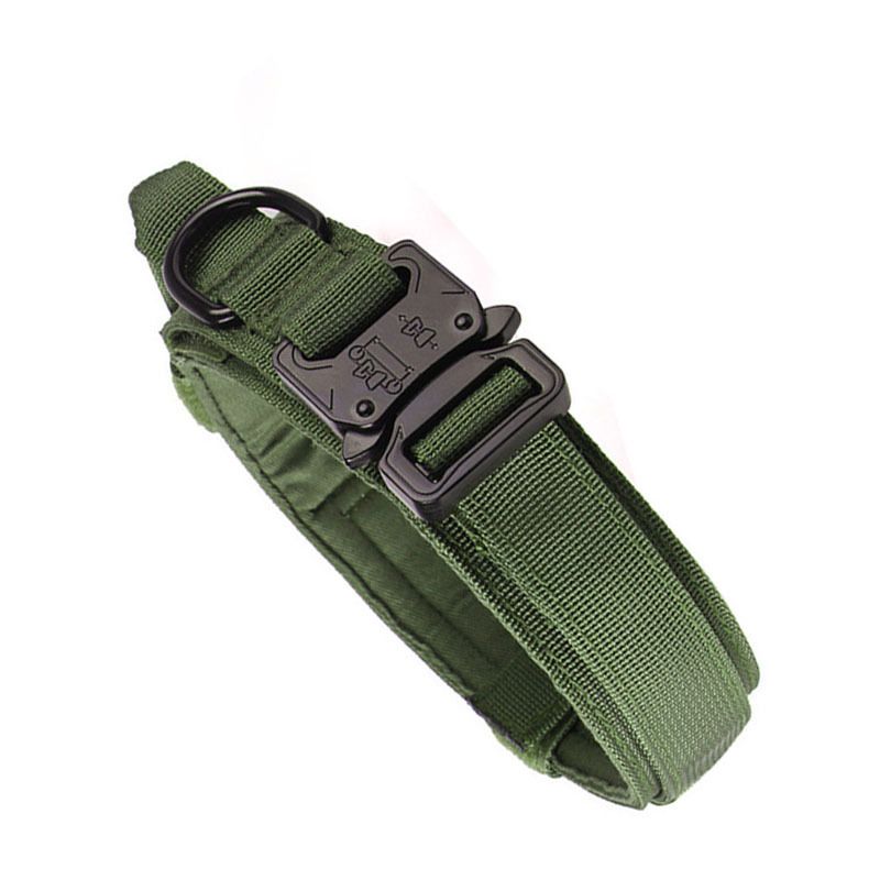 Nylon Dog Collar Training Buckle 3.8cm Green XL code (50-62cm)