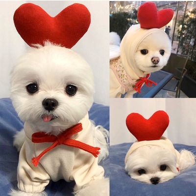 Pet Sweatshirt Beautiful Pet Polyester Fleece Autumn Love sweater