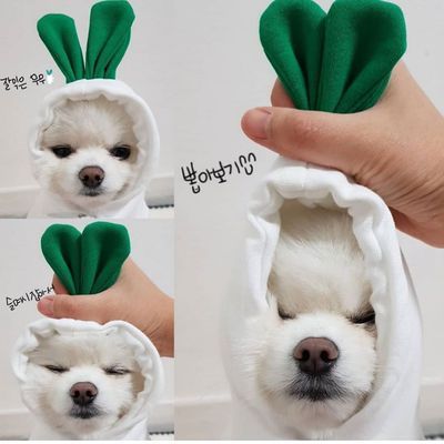 Pet Sweatshirt Beautiful Pet Polyester Fleece Autumn Grass Sweater XL
