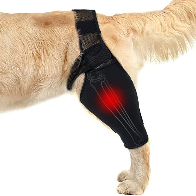 Dog Leg Brace Support Knee Pad Black XL