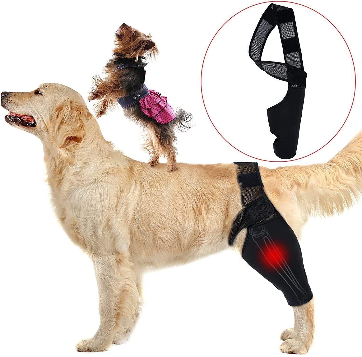Dog Leg Brace Support Knee Pad Black XL