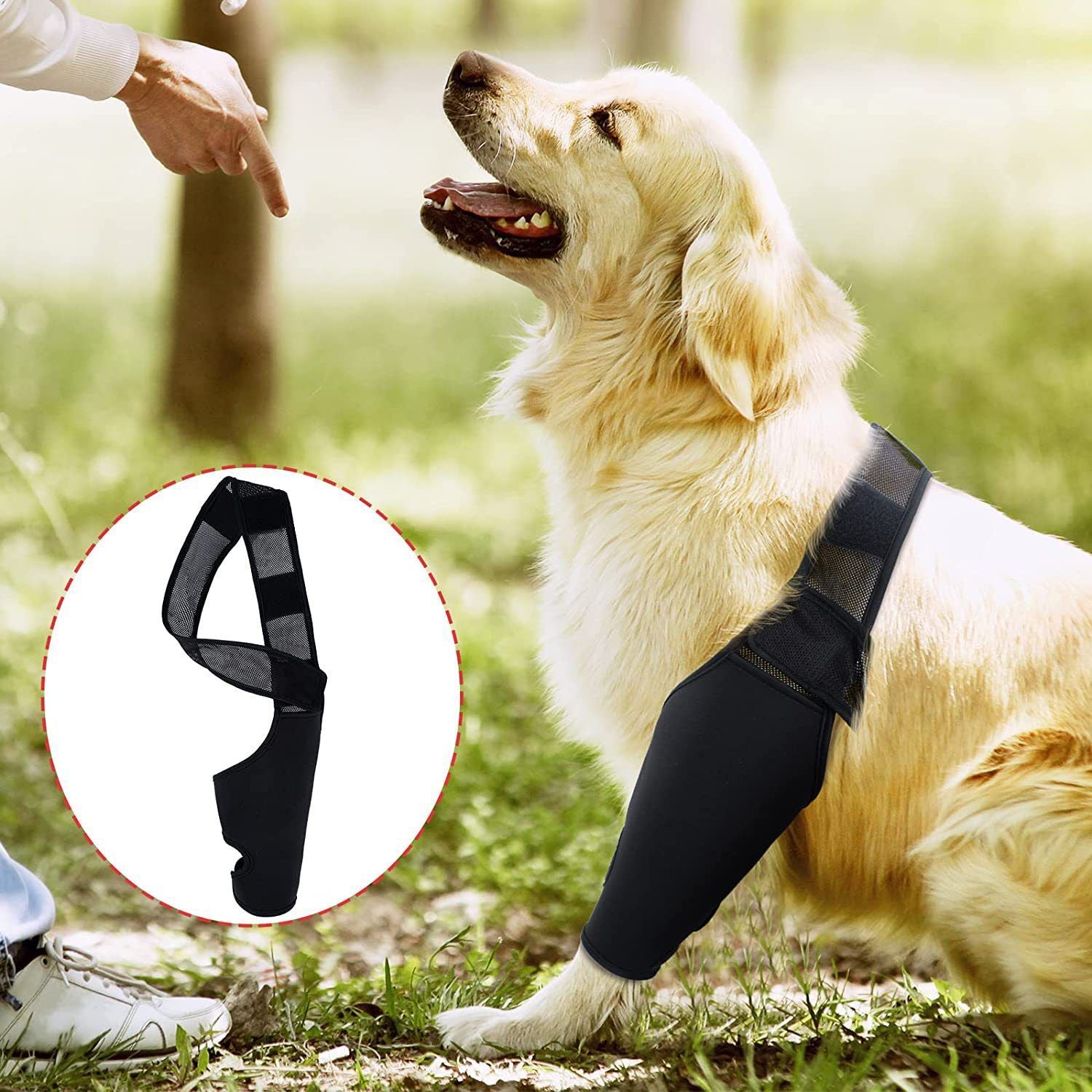 Dog Leg Brace Support Knee Pad Black XL