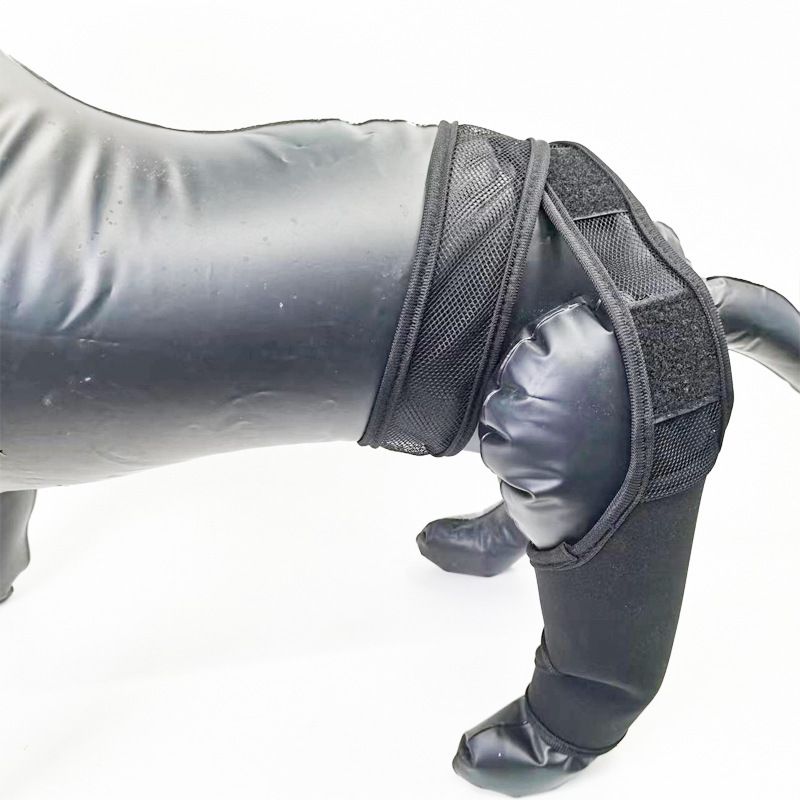 Dog Leg Brace Support Knee Pad Black XL