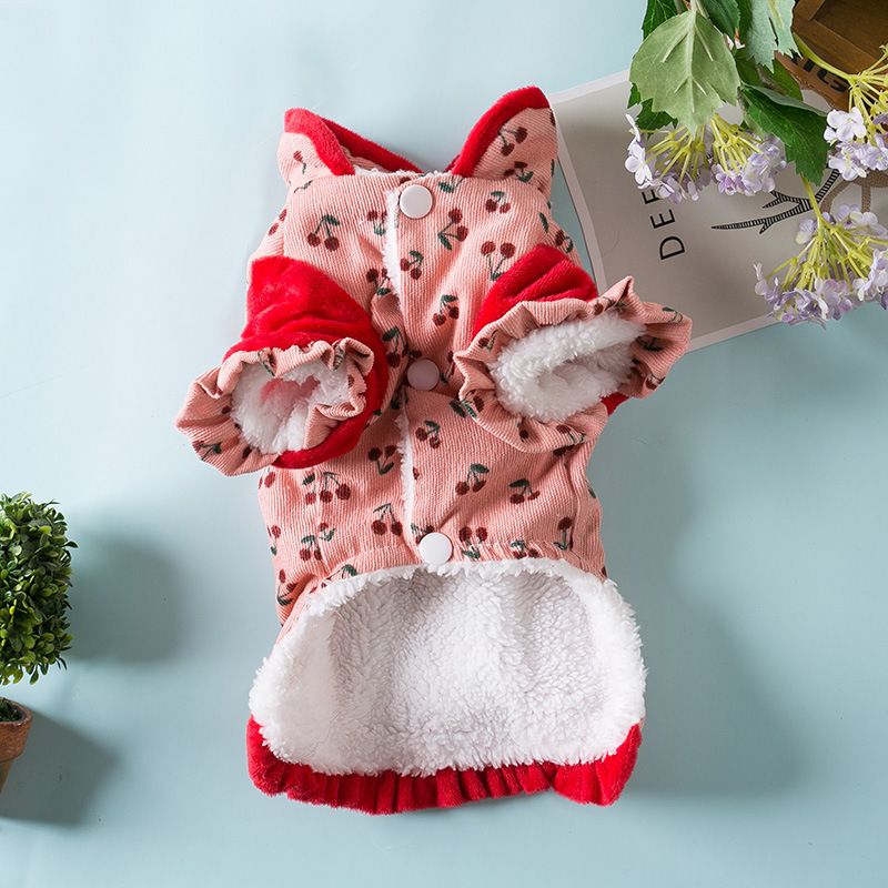 Dog Clothes Tang Suit Odd Pet Two-legged Winter Warm Chrysanthemum small Tang suit
