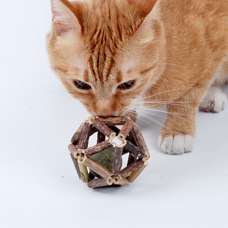 Cat Toy Catnip Ball Chew Resistant Teeth Cleaning Mint Exquisite Ball Medium M about 6.8cm