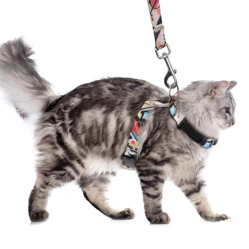 Adjustable Nylon Pet Harness Cat Dog Leash Orange S