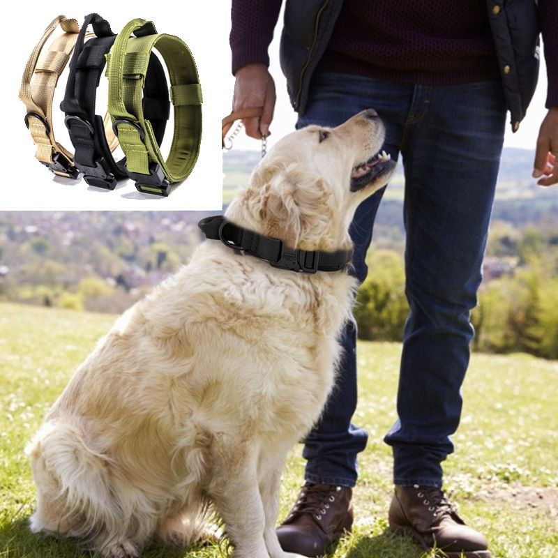 Nylon Dog Collar Training Buckle 3.8cm Khaki Button M code (36-48cm)