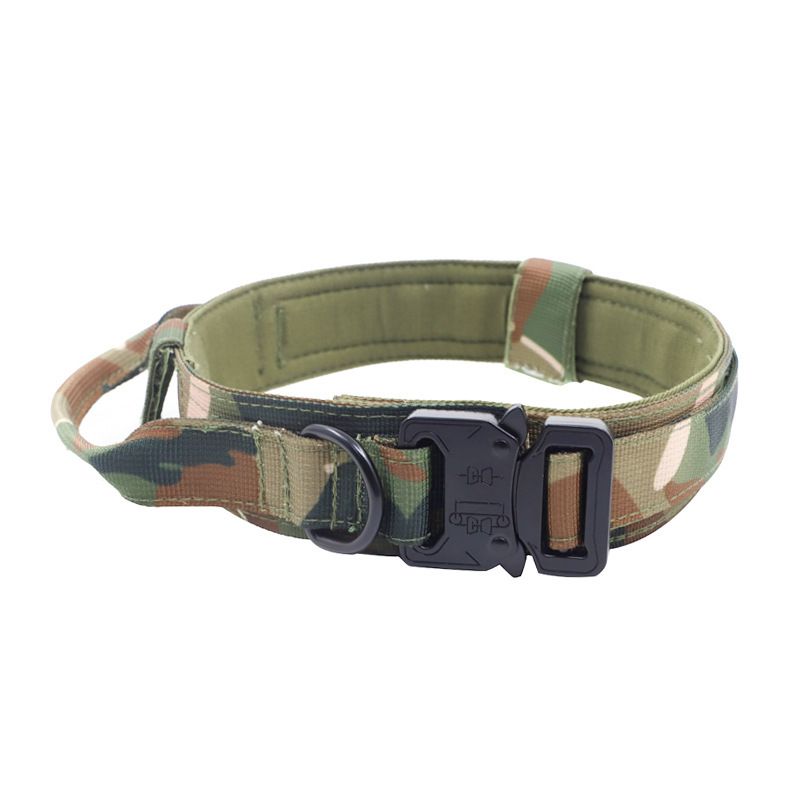 Nylon Dog Collar Training Buckle 3.8cm Fan color M code (36-48cm)
