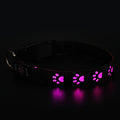SY LED Rechargeable Nylon Dog Collar Pink L（50-60cm）