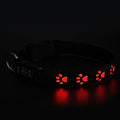 SY LED Rechargeable Nylon Dog Collar Red S（30-40cm）