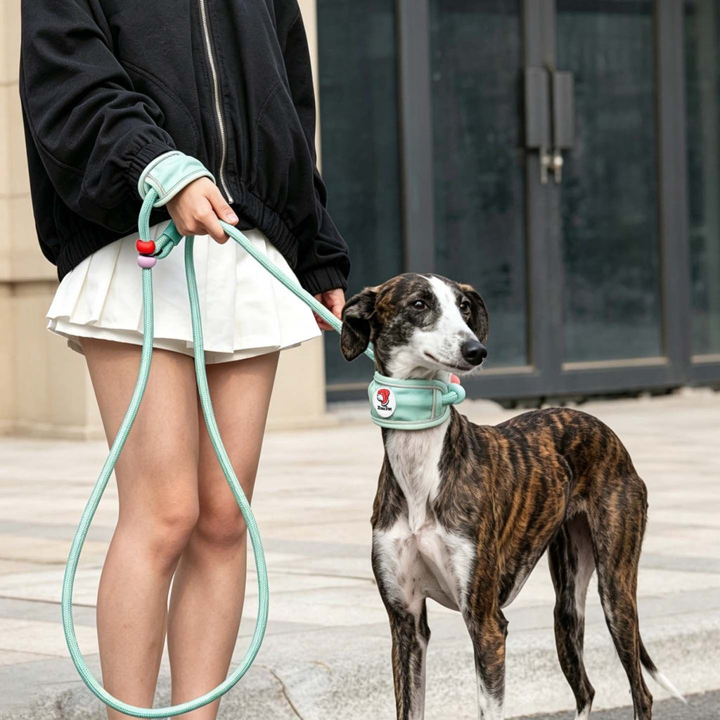 GROW&TAIL Nylon Dog Leash Buffer Handle for Large Dogs