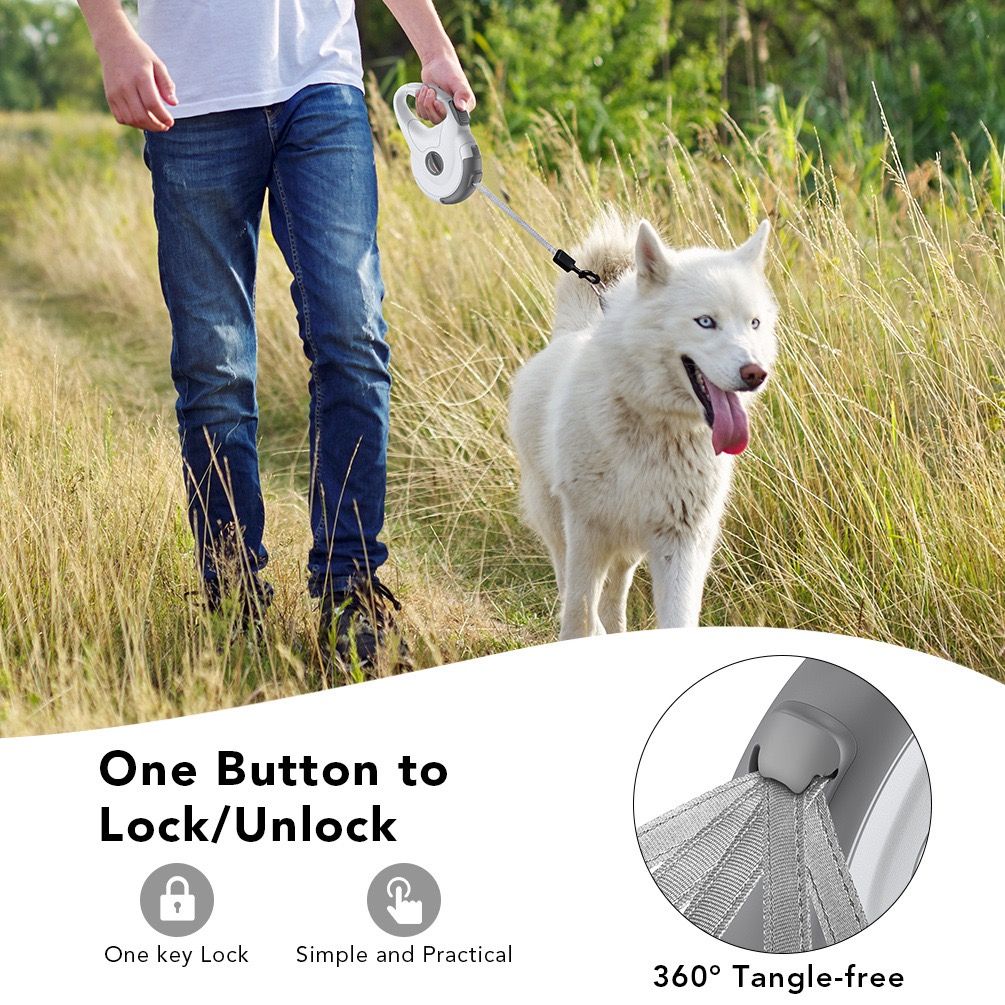 Retractable Dog Leash with Replaceable Rope, Anti-Shock ABS Shell, 5M Stainless Steel Spring, Reflective Webbing Strap & Zinc Alloy Hook for Medium to Large Dogs, Outdoor Walking, Beach, Park, and Daily Use (Black)