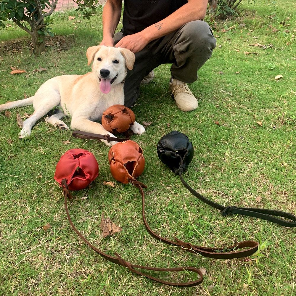 Interactive Leather Chew Ball for Dogs with Durable Rope Handle – Ideal for Puppy Training, Dental Chewing, Outdoor Fetch, and Bonding Play for Small to Medium Breeds (Black)