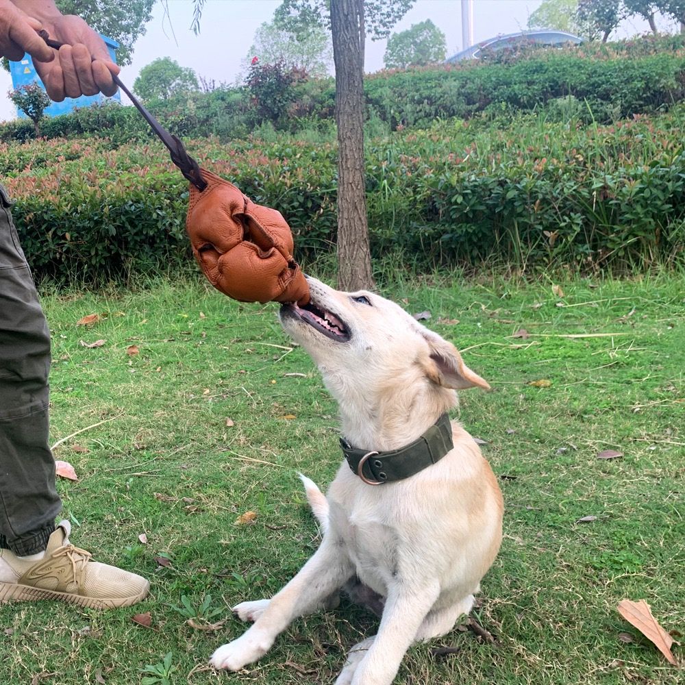 Interactive Leather Chew Ball for Dogs with Durable Rope Handle – Ideal for Puppy Training, Dental Chewing, Outdoor Fetch, and Bonding Play for Small to Medium Breeds (Black)