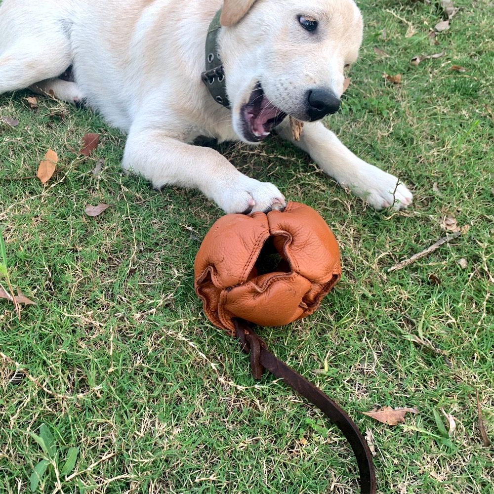 Interactive Leather Chew Ball for Dogs with Durable Rope Handle – Ideal for Puppy Training, Dental Chewing, Outdoor Fetch, and Bonding Play for Small to Medium Breeds (Black)