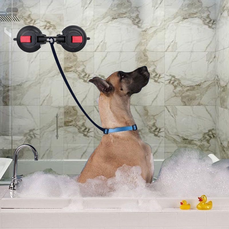 Heavy-Duty Suction Cup Anchor for Large Dogs – 360° Rotating Metal Ring, Dual 120mm Strong Suction Cups for Bathing, Grooming & Tug Toy Fixation on Smooth Surfaces, Reusable & Waterproof (Dual Suction-Cup)