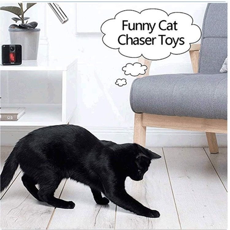 Multi-Function USB Rechargeable Laser Cat Teaser Wand with Stainless Steel Body, Ideal for Interactive Pet Play, Presentations, Currency Verification, Fluorescent Detection, and Emergency Lighting in Home, Office, and Travel Scenarios. (Silver)