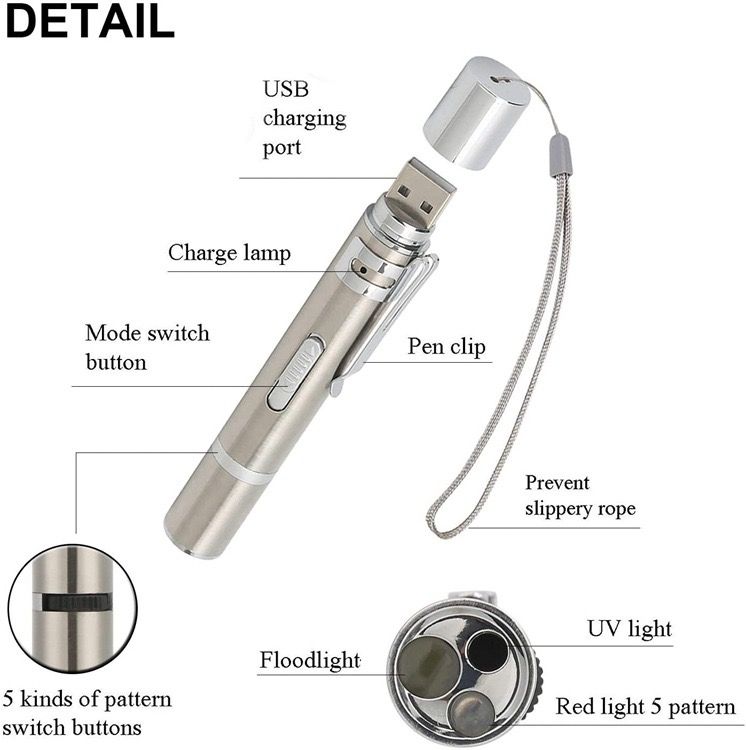 Multi-Function USB Rechargeable Laser Cat Teaser Wand with Stainless Steel Body, Ideal for Interactive Pet Play, Presentations, Currency Verification, Fluorescent Detection, and Emergency Lighting in Home, Office, and Travel Scenarios. (Silver)