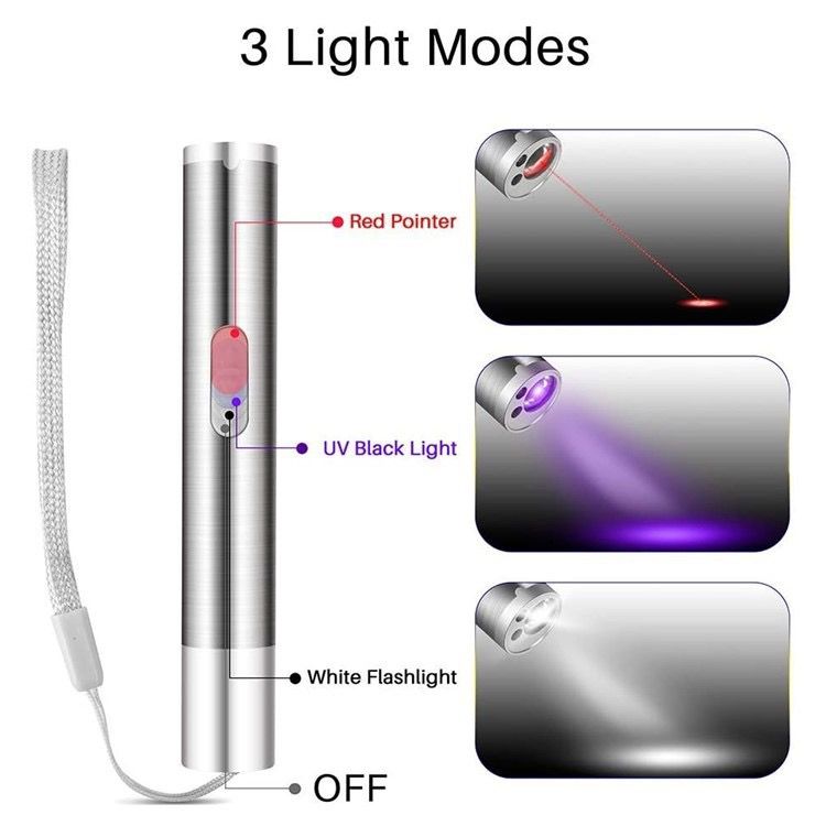 Multi-Function USB Rechargeable Laser Cat Teaser Wand with Stainless Steel Body, Ideal for Interactive Pet Play, Presentations, Currency Verification, Fluorescent Detection, and Emergency Lighting in Home, Office, and Travel Scenarios. (Silver)