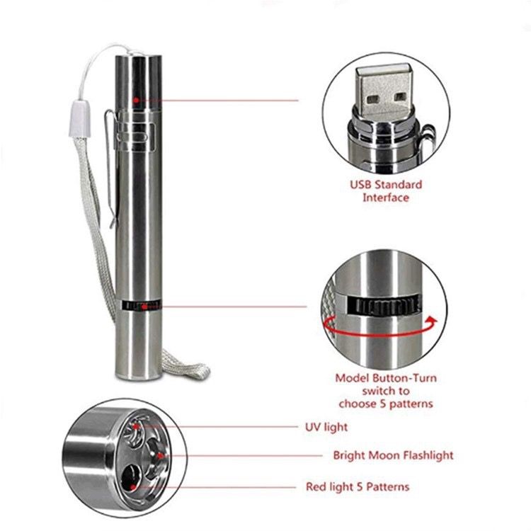 Multi-Function USB Rechargeable Laser Cat Teaser Wand with Stainless Steel Body, Ideal for Interactive Pet Play, Presentations, Currency Verification, Fluorescent Detection, and Emergency Lighting in Home, Office, and Travel Scenarios. (Silver)