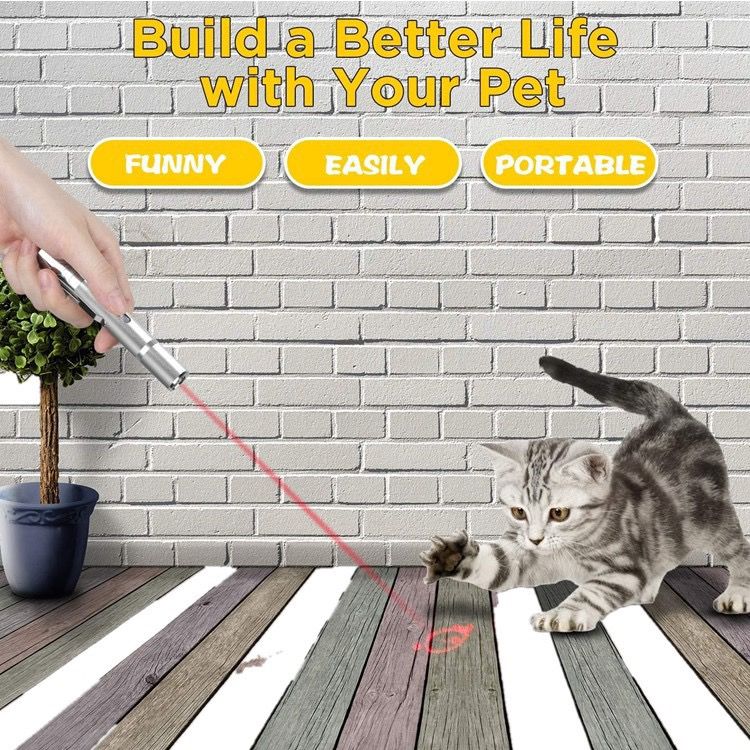 Multi-Function USB Rechargeable Laser Cat Teaser Wand with Stainless Steel Body, Ideal for Interactive Pet Play, Presentations, Currency Verification, Fluorescent Detection, and Emergency Lighting in Home, Office, and Travel Scenarios. (Silver)