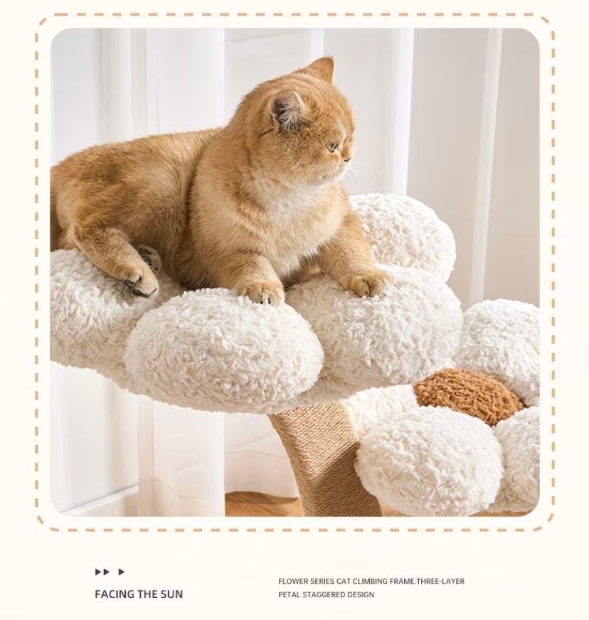 US-Size Compact Cat Tree (White/Pink