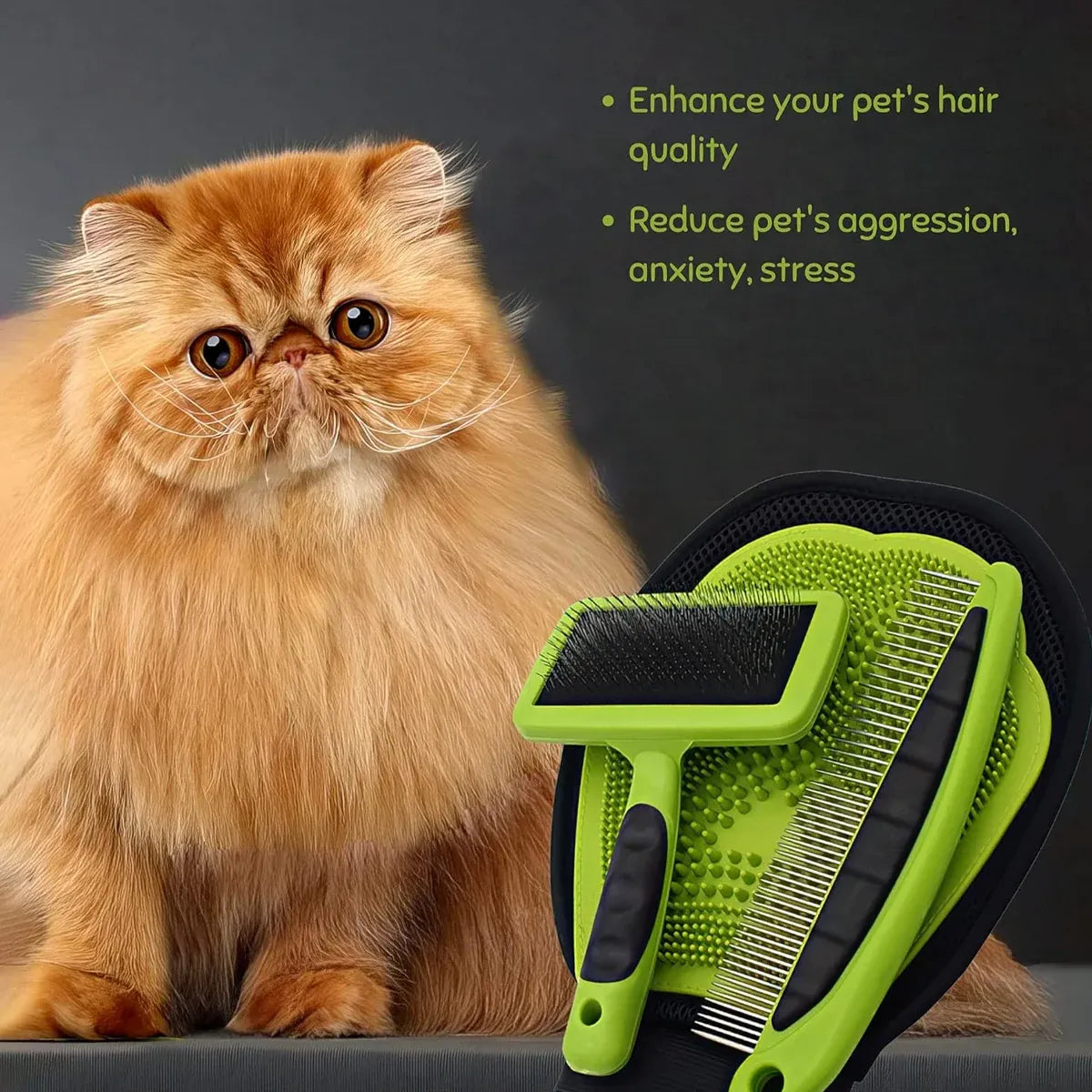 3PCS Pet Grooming Cleaning Kit Pet Hair Remover Tools for Home Pet Care Supplies