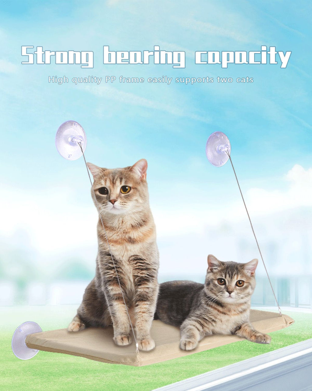 2 Set of Pink Cat Window Tanning Hammock - 4 Strong Suction Cups & Durable Oxford Removable Cover, Space Saving Bed for Indoor Cats Sunbathing